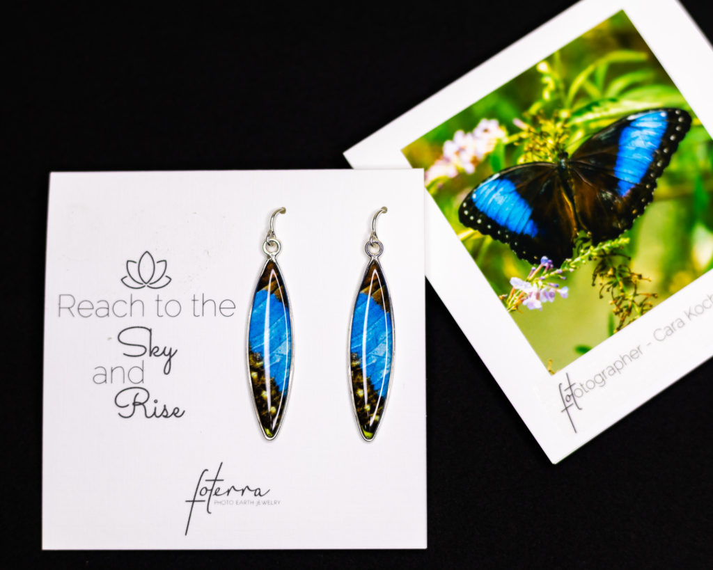 blue morpho butterfly wing surfboard shaped earrings