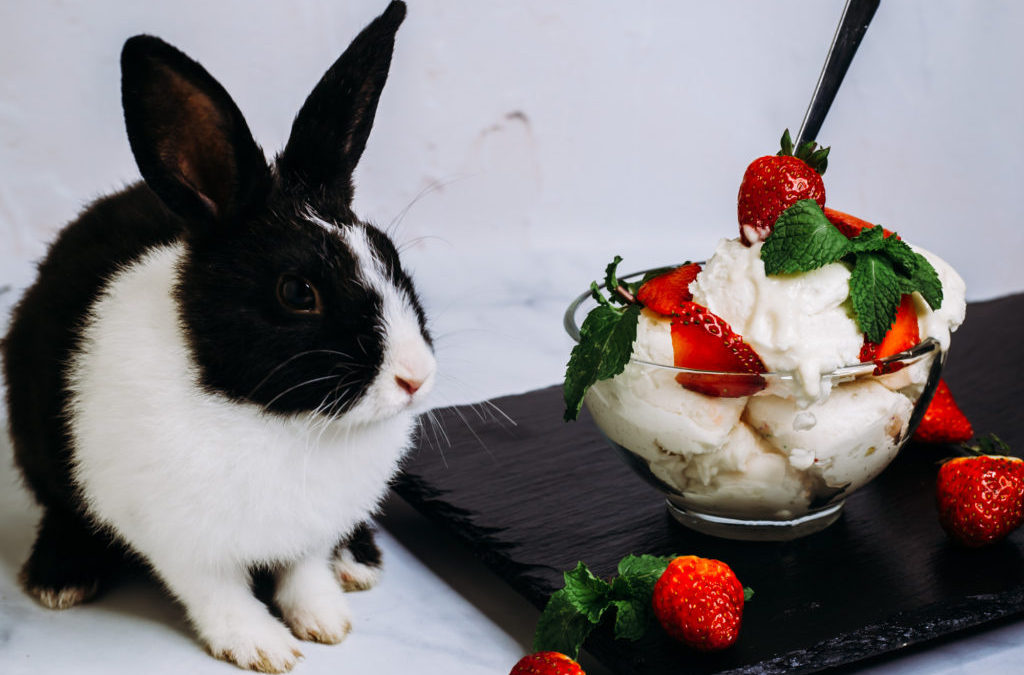 Amazing Tip for Photographing Ice Cream in HOT Costa Rica!