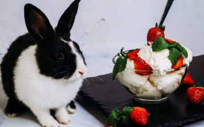 Amazing Tip for Photographing Ice Cream in HOT Costa Rica!