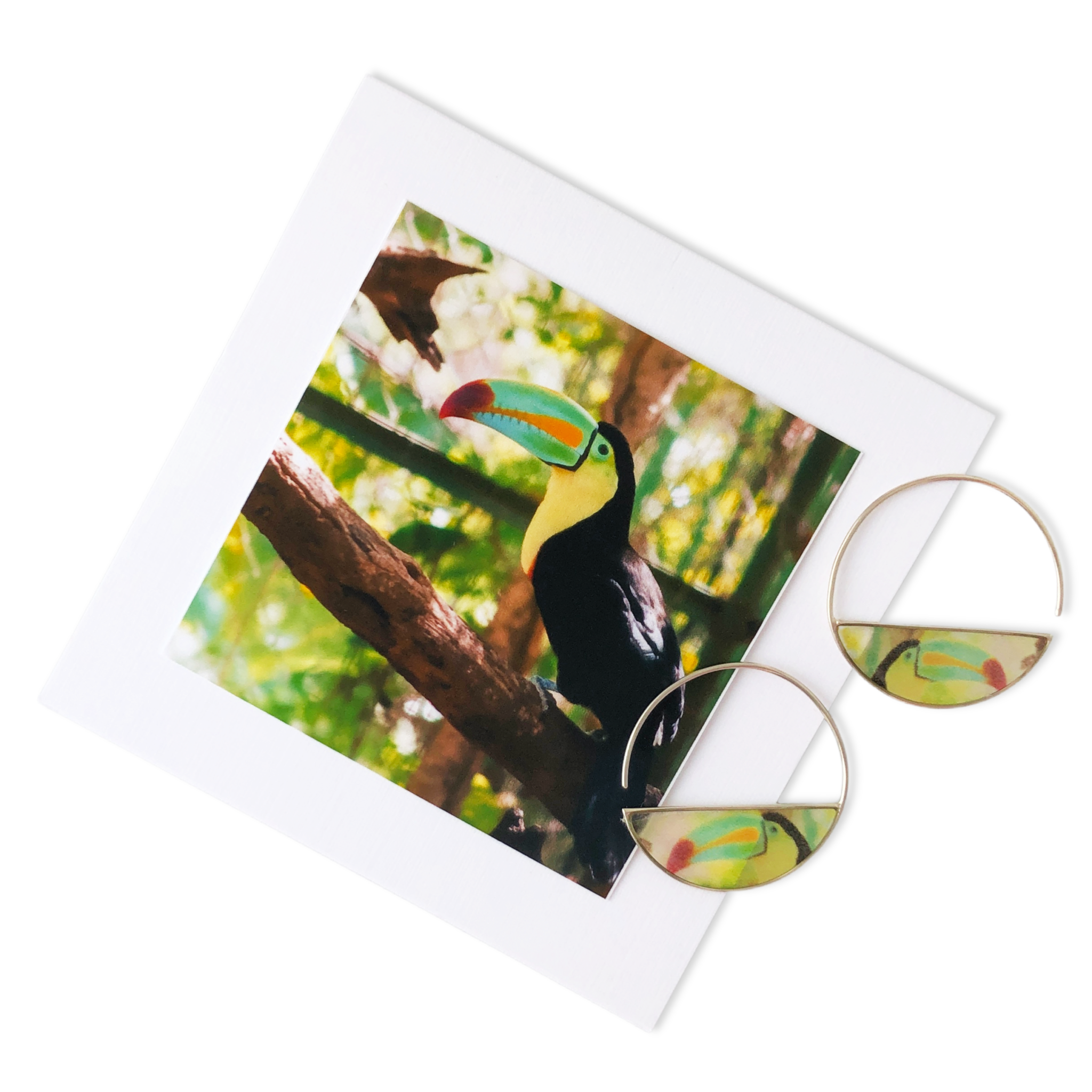 rainbow bill toucan earrings semi-circle hoop earrings