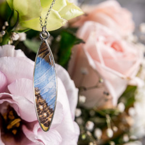 blue morpho butterfly necklace