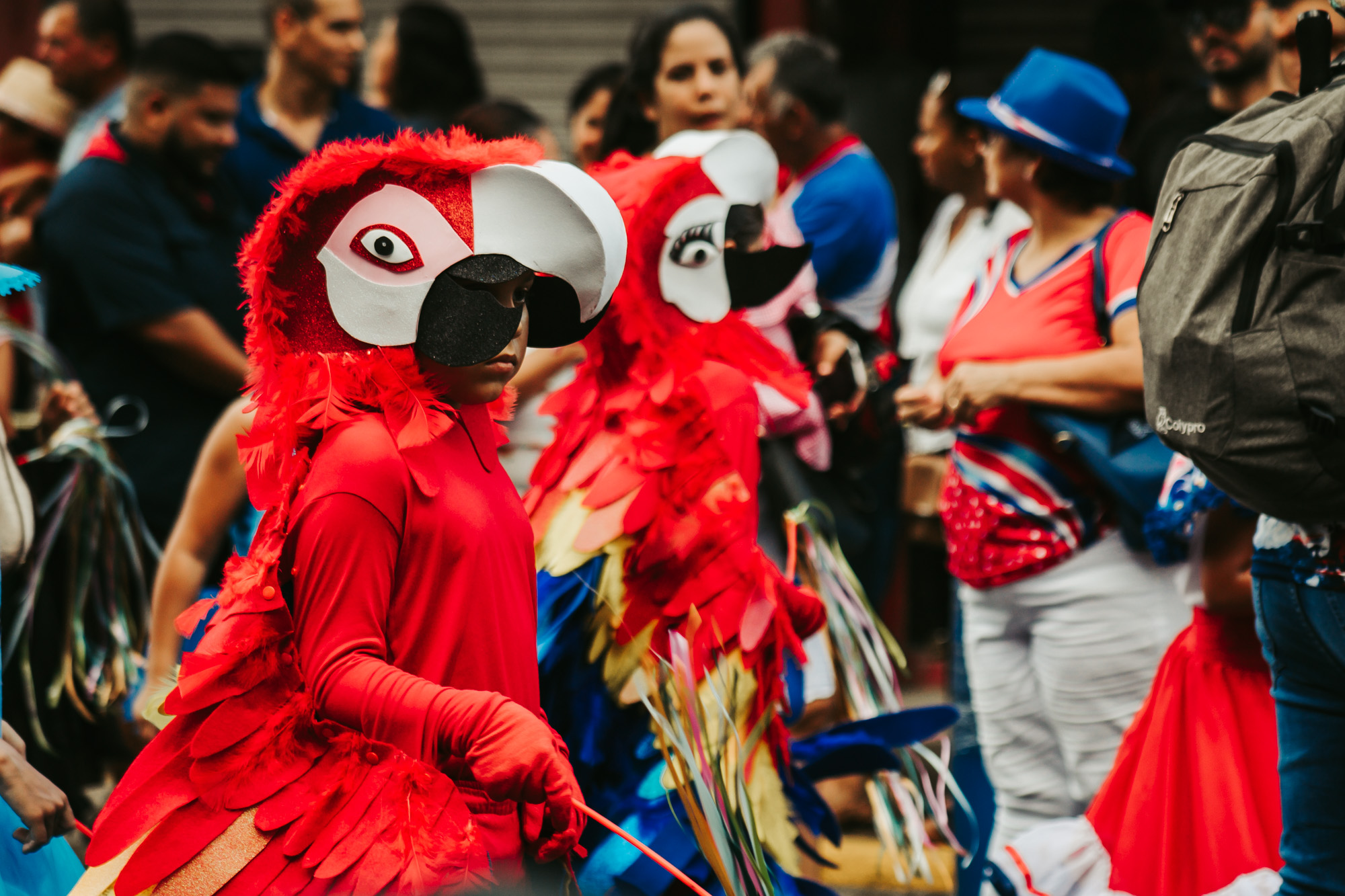 kids dressed as scarlet macaws in the indepedence day parade