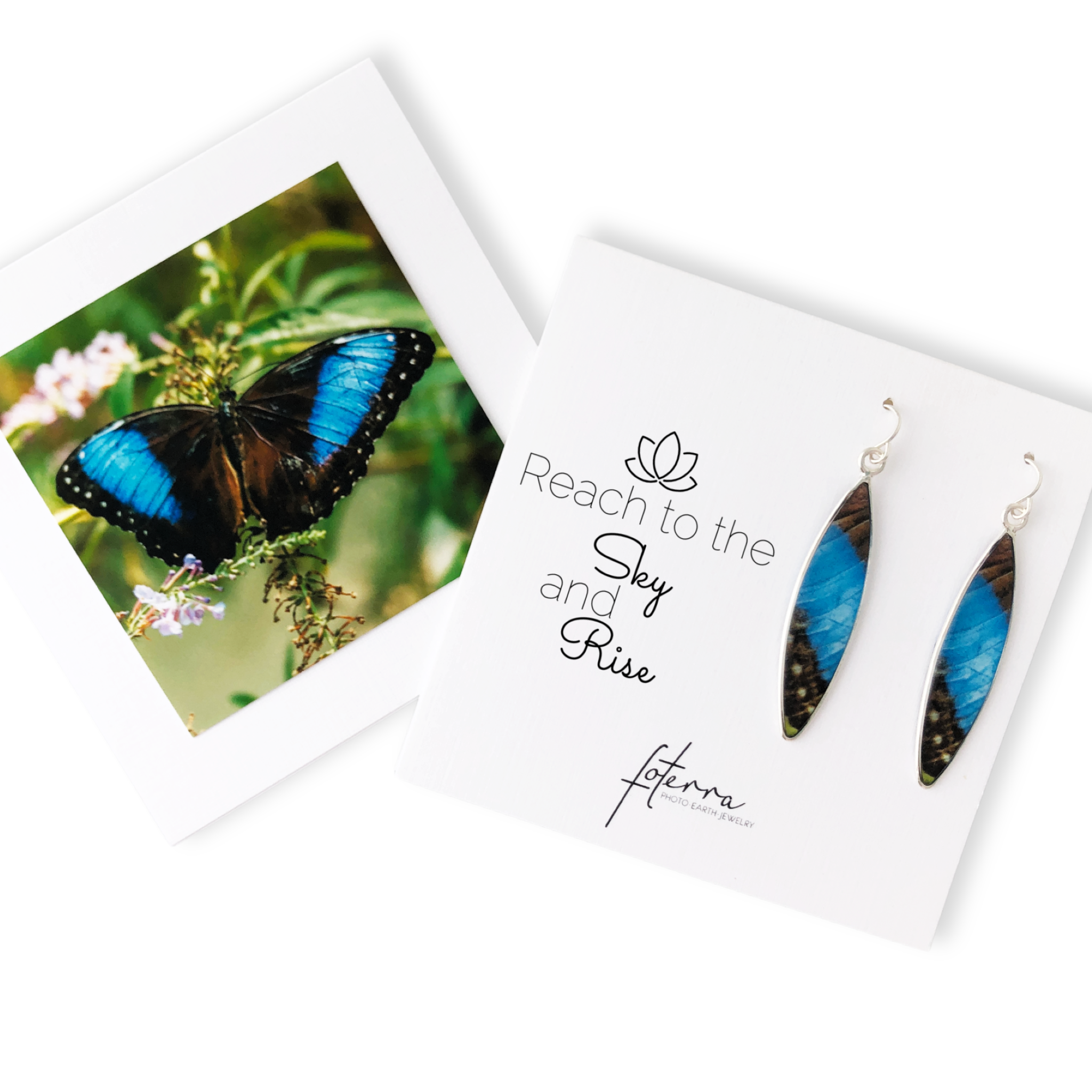 blue morpho butterfly earrings